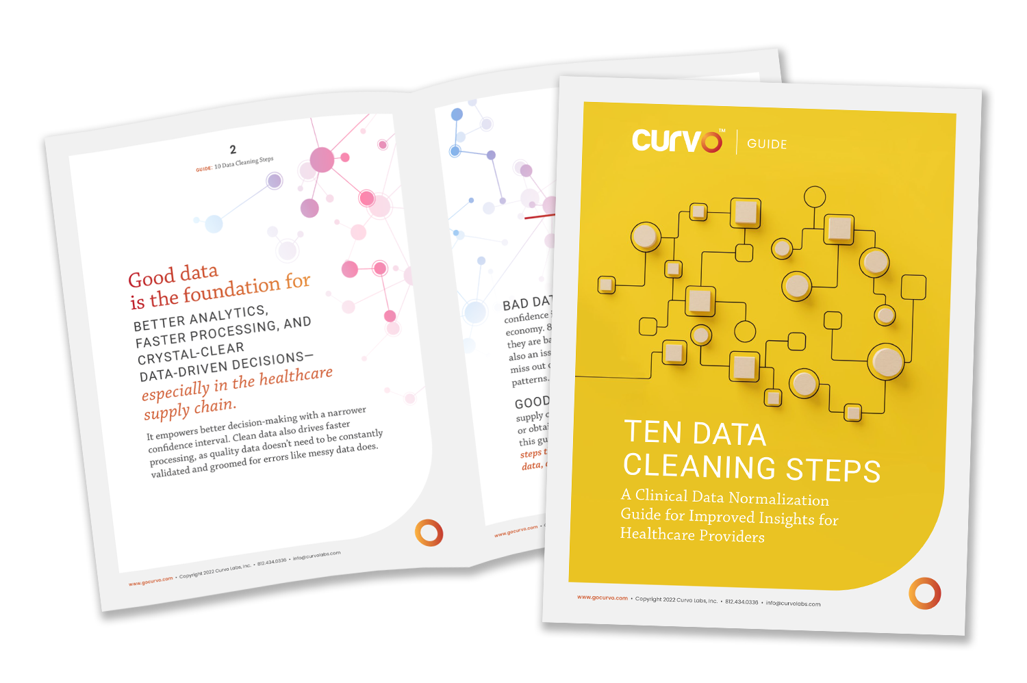 Curvo - 10 Data Cleaning Steps - Guide - mockup