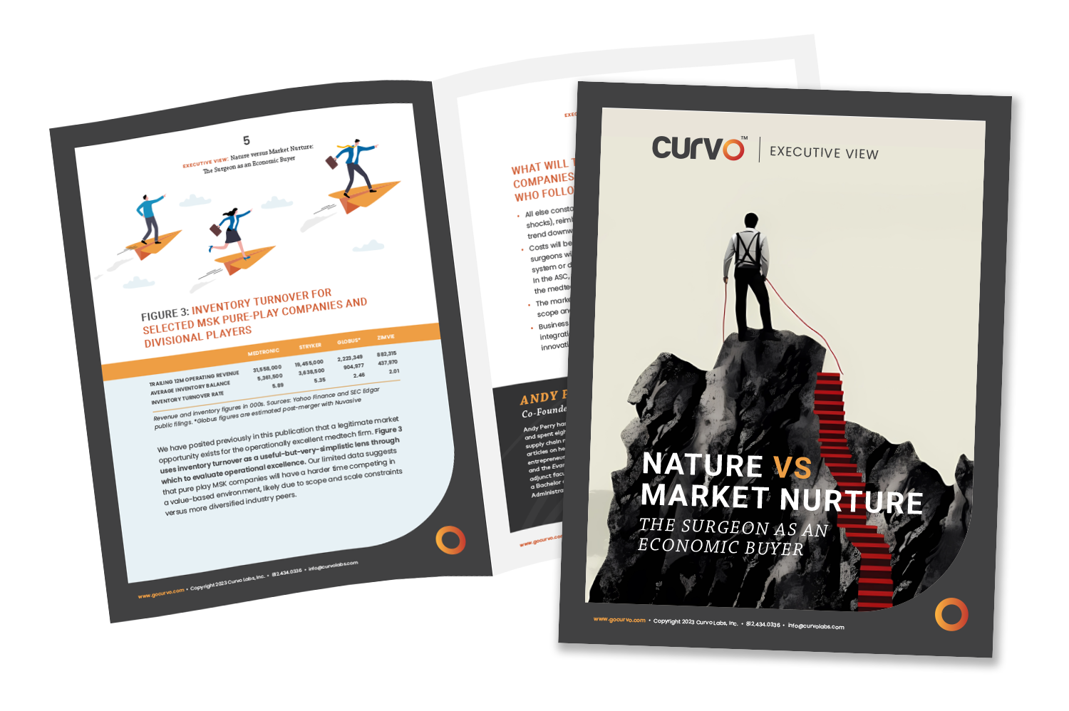 Curvo - Nature versus Market Nurture - Executive View - mockup